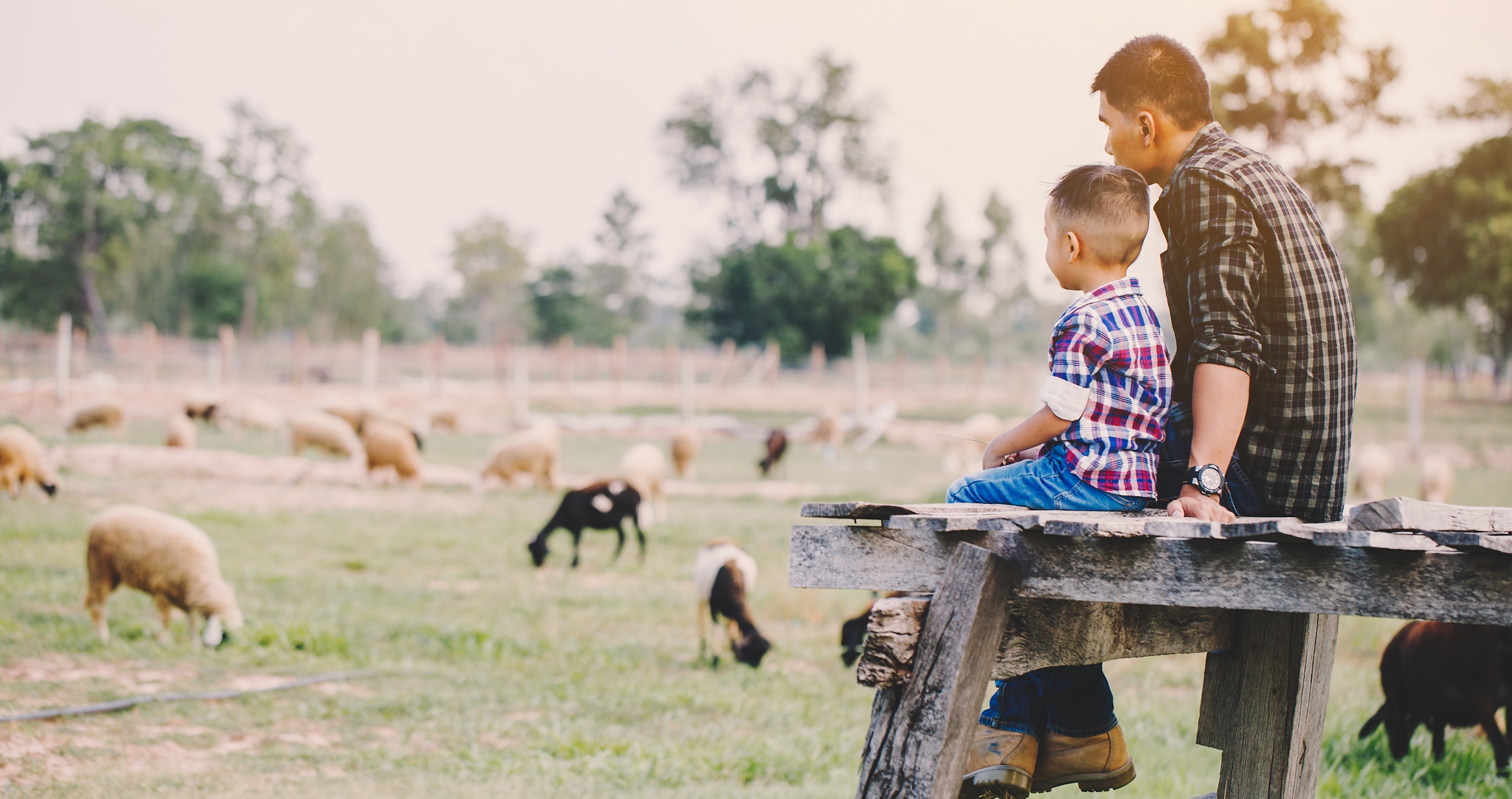 how to start homesteading with your kids