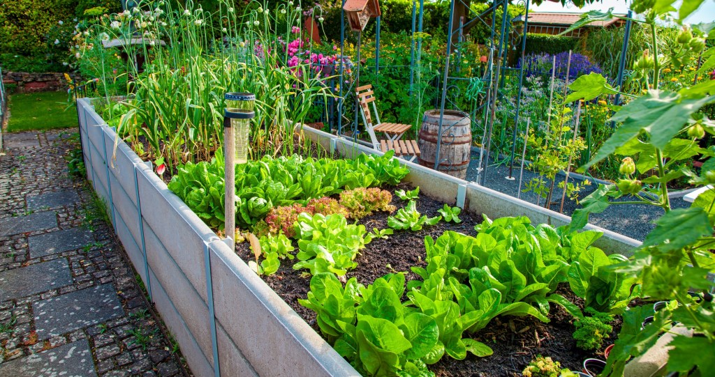 how to start homesteading with your kids start a garden