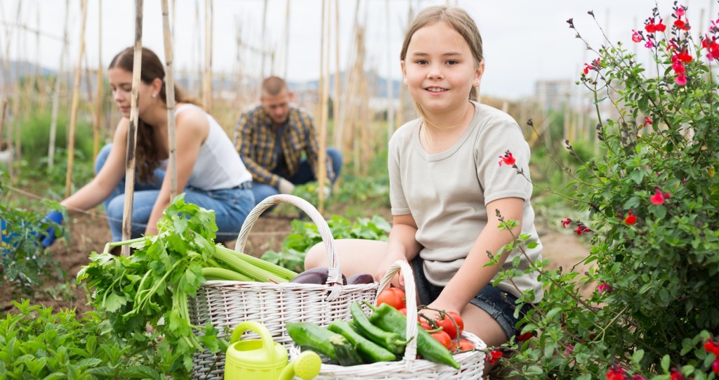 how to start homesteading with your kids