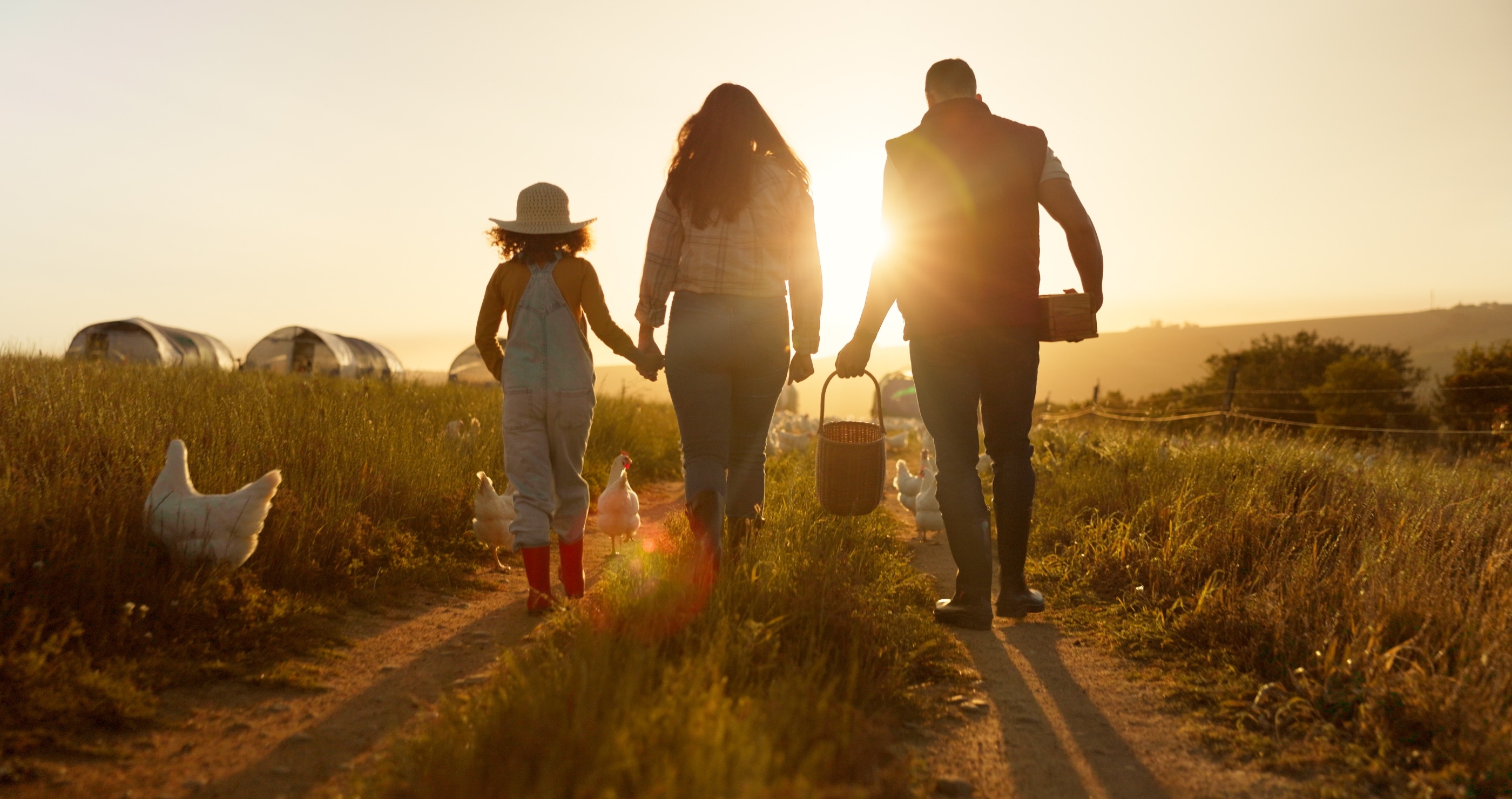 if you want to start a family farm here are things you should know