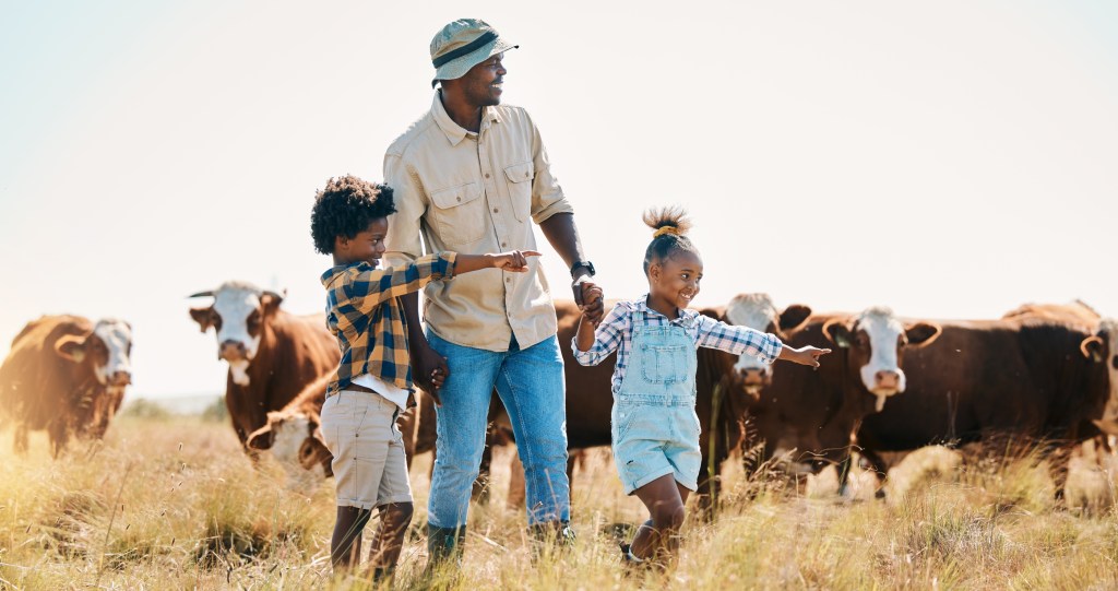 father and his two children playing in a field of cows on their family farm