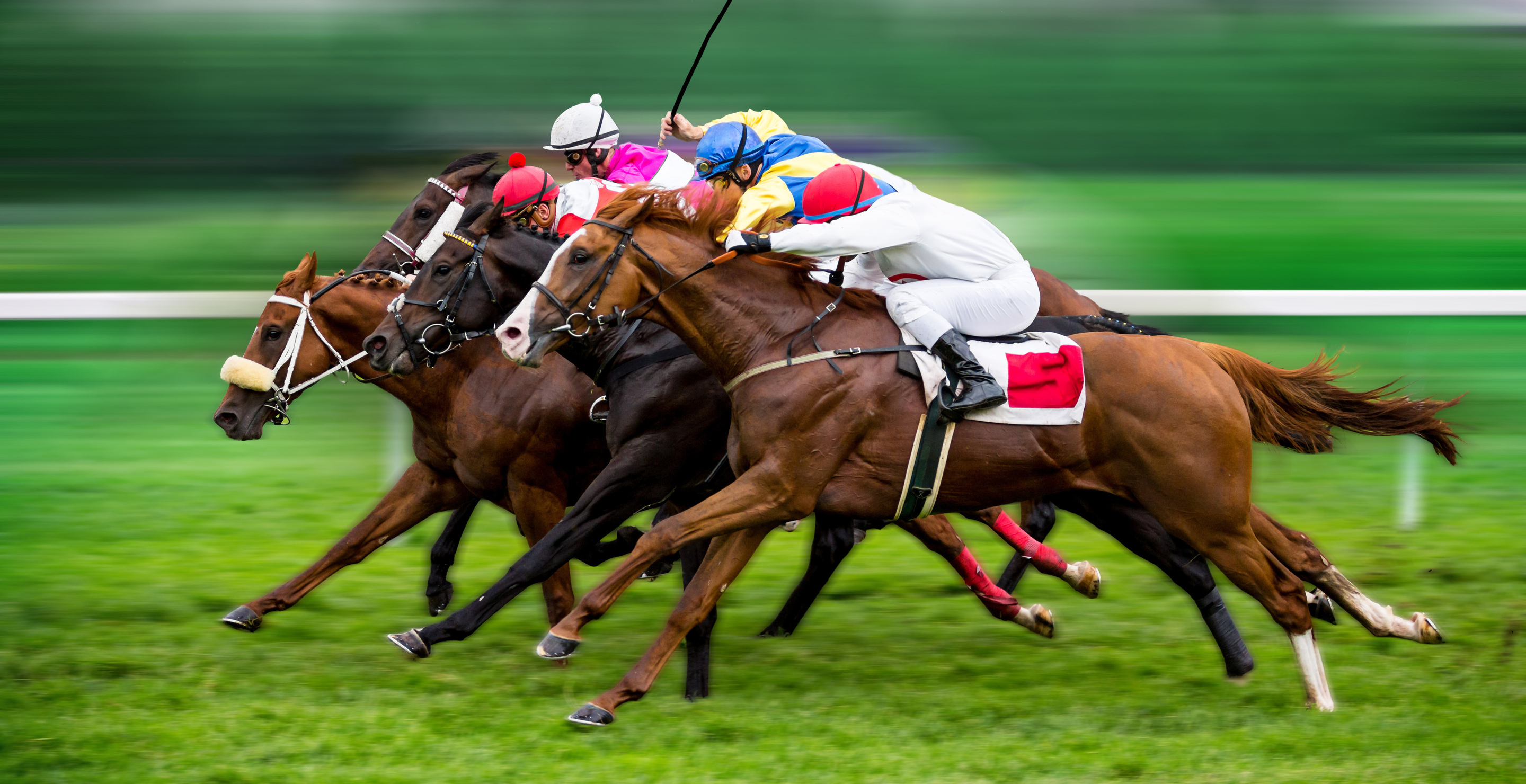 1 in 50 Men Believe They Can Outrun A Champion Racehorse, And I'm One Of Them