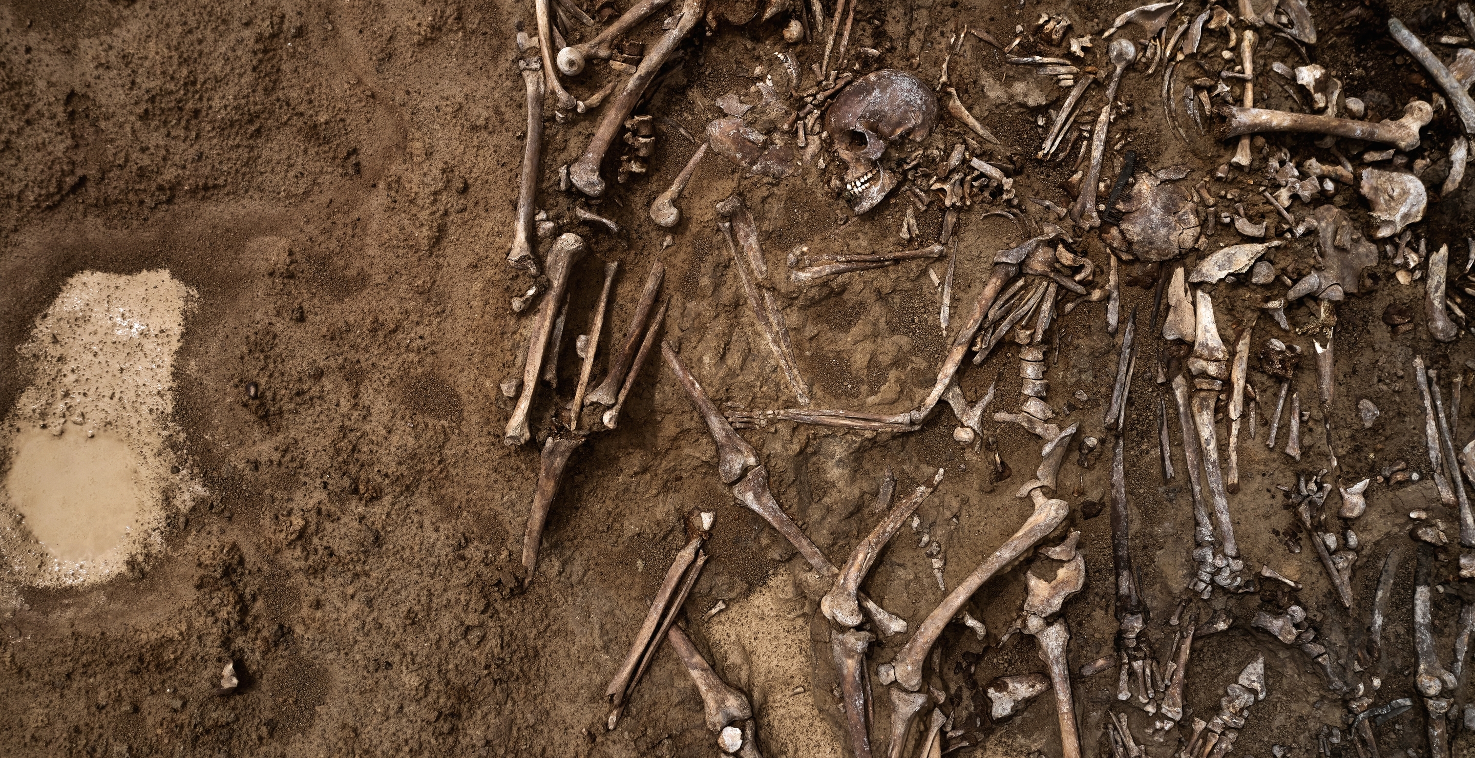 Human Remains Found Near Children's Playground