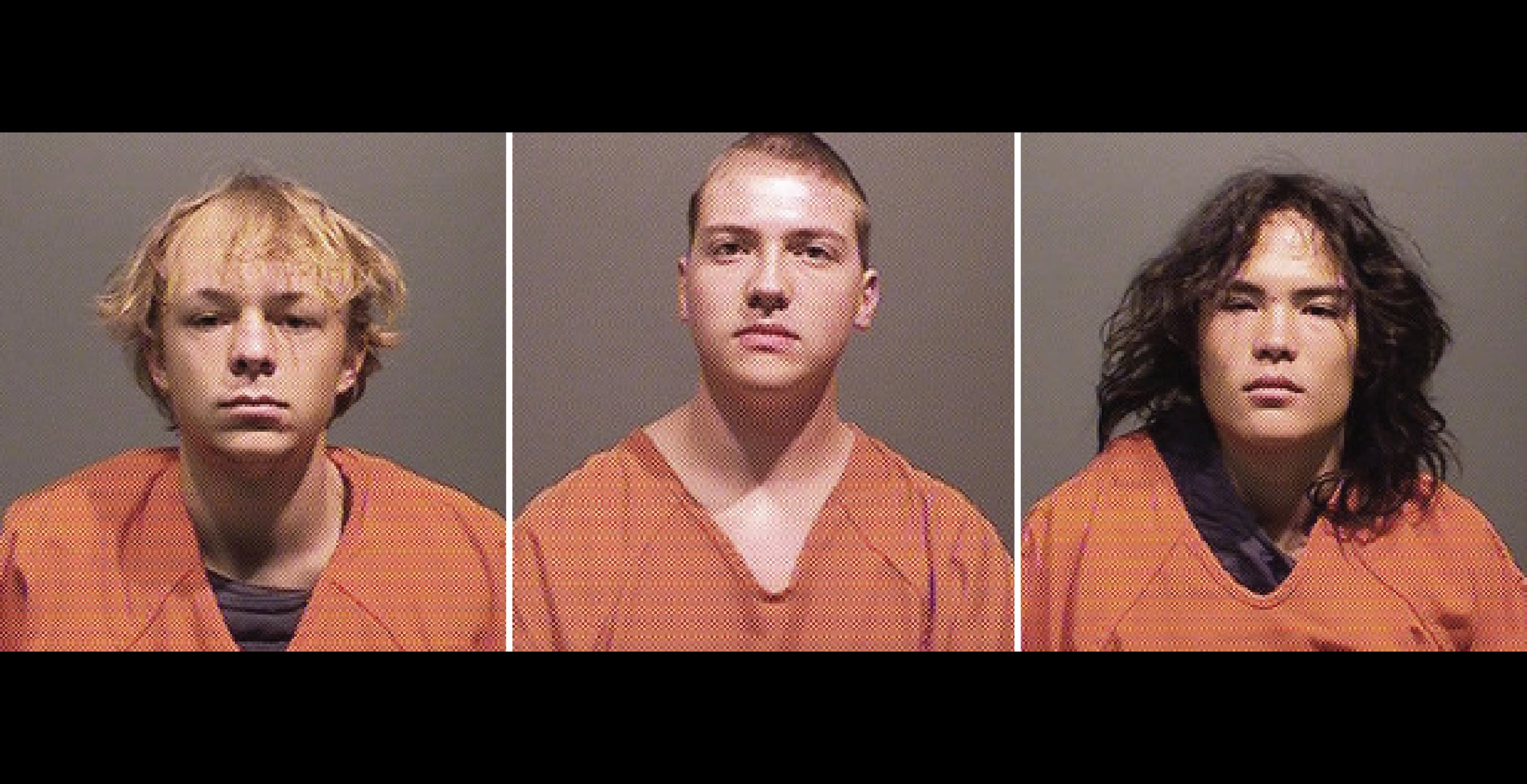 Joseph Koenig, Nicholas Karol-Chik, and Zachary Kwak