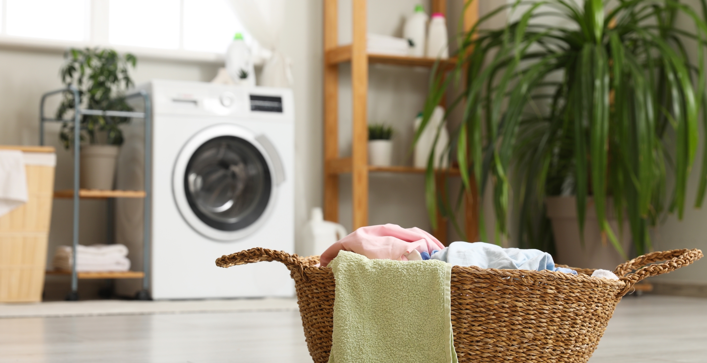 Man Shows Firsthand The Scary Reason Why You Should Always Wash Clothes You Get From Thrift Stores
