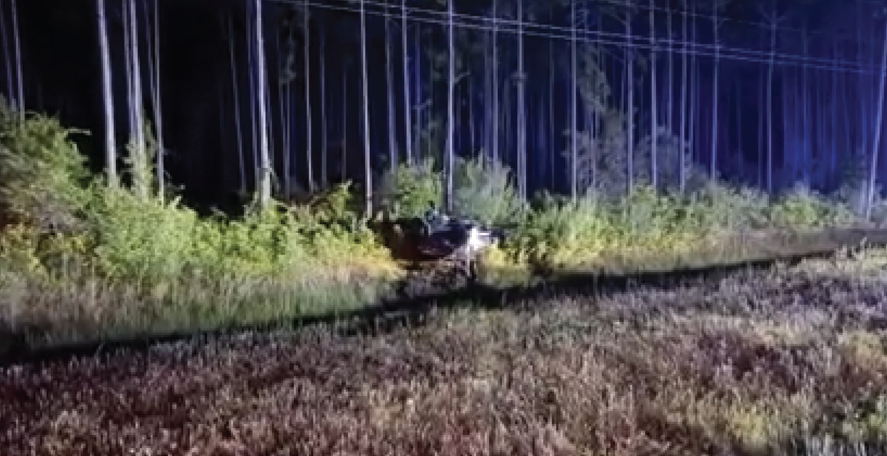 Massachusetts Car Crash