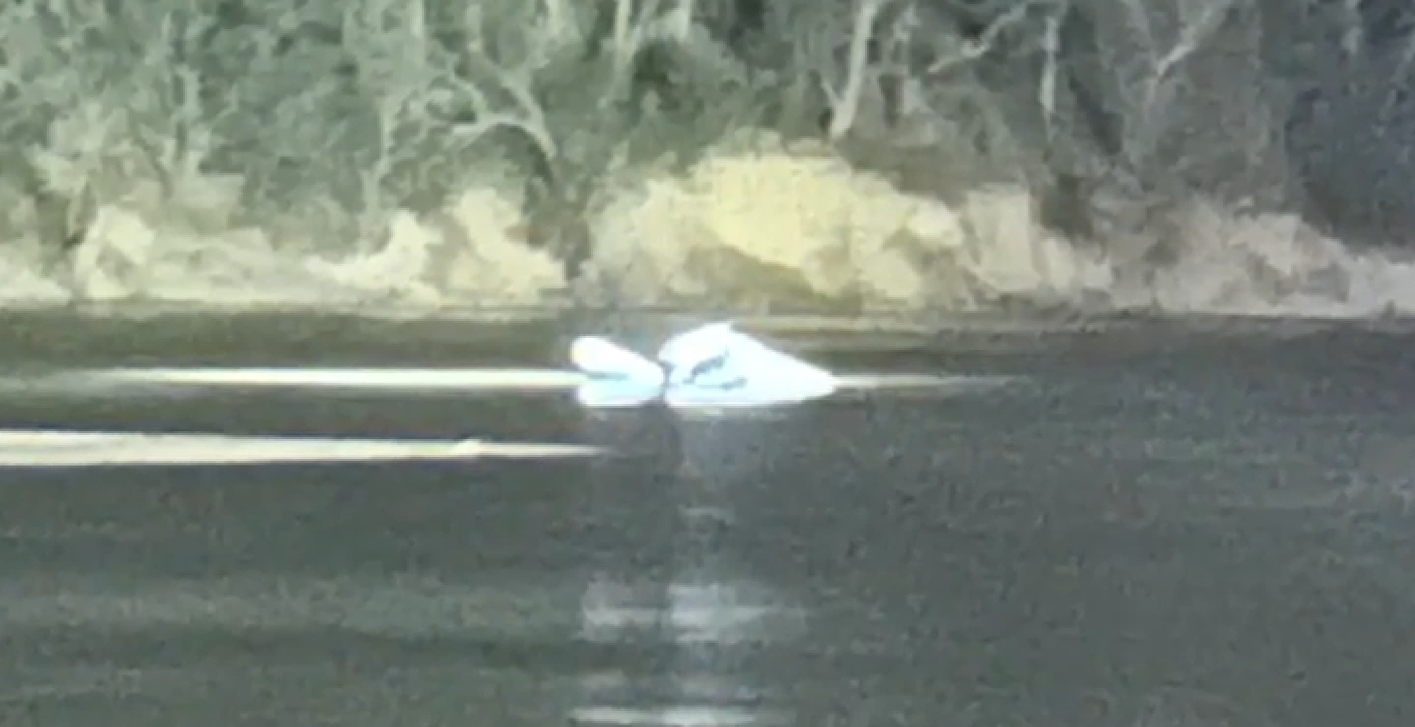 Nebraska Plane Crash