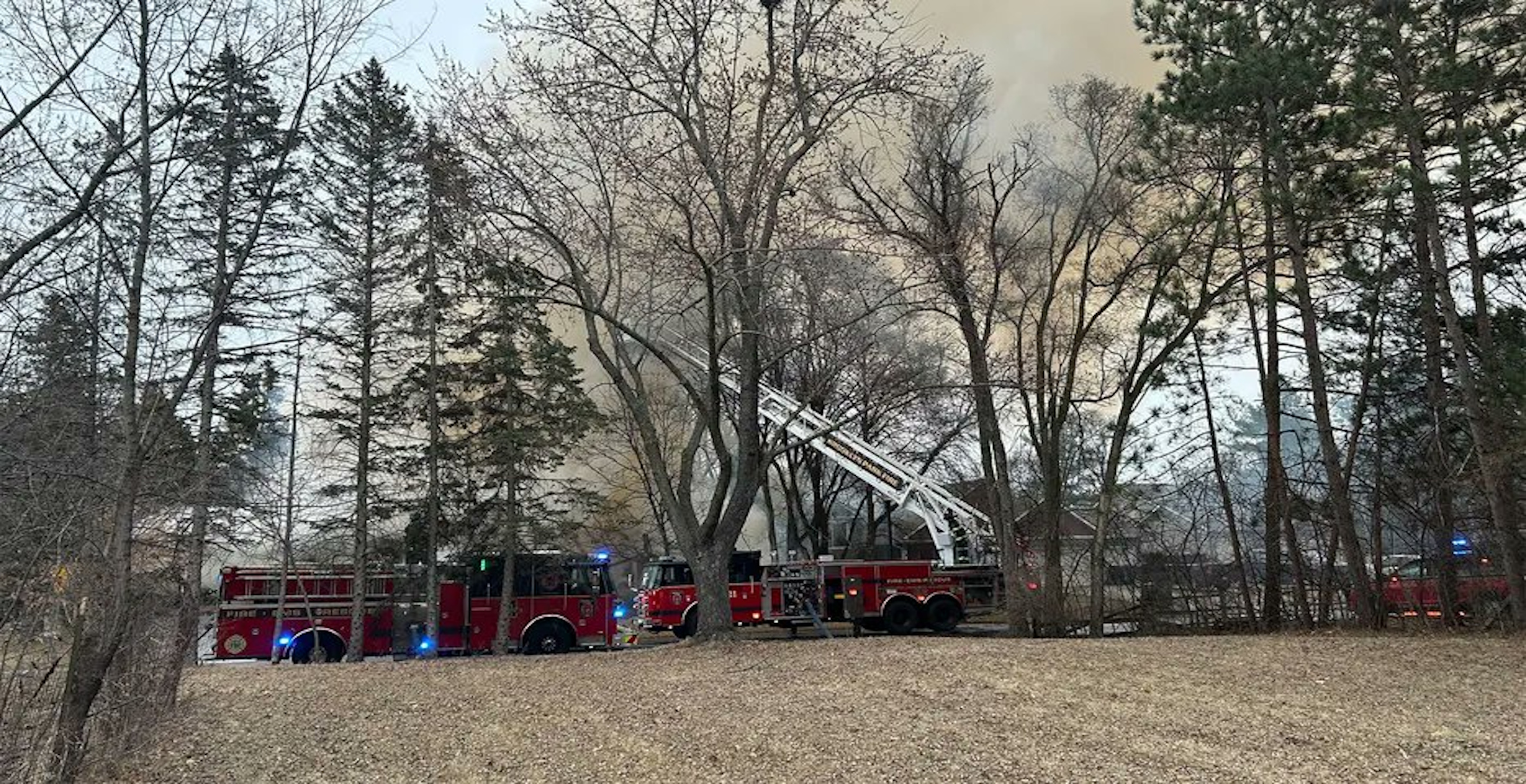 Dog Miraculously Saved Owners From Fiery Plane Crash By Wanting To Go For A Walk