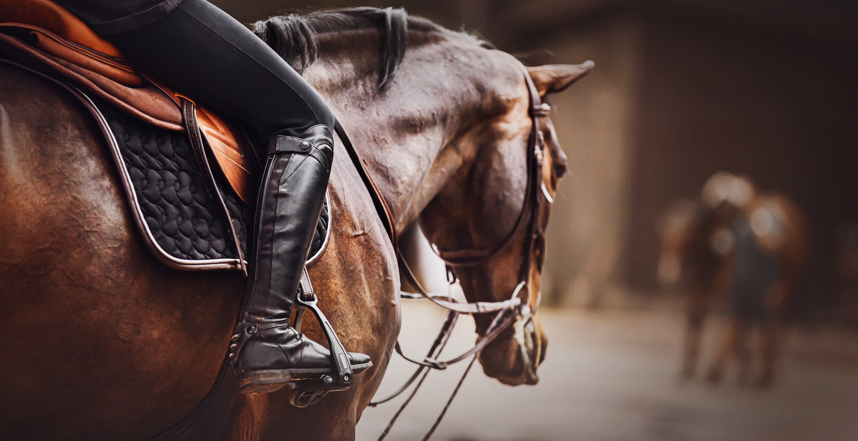 Woman Claims Her Leg Was Crushed After Wrangler Sprayed Horse With Bear Spray