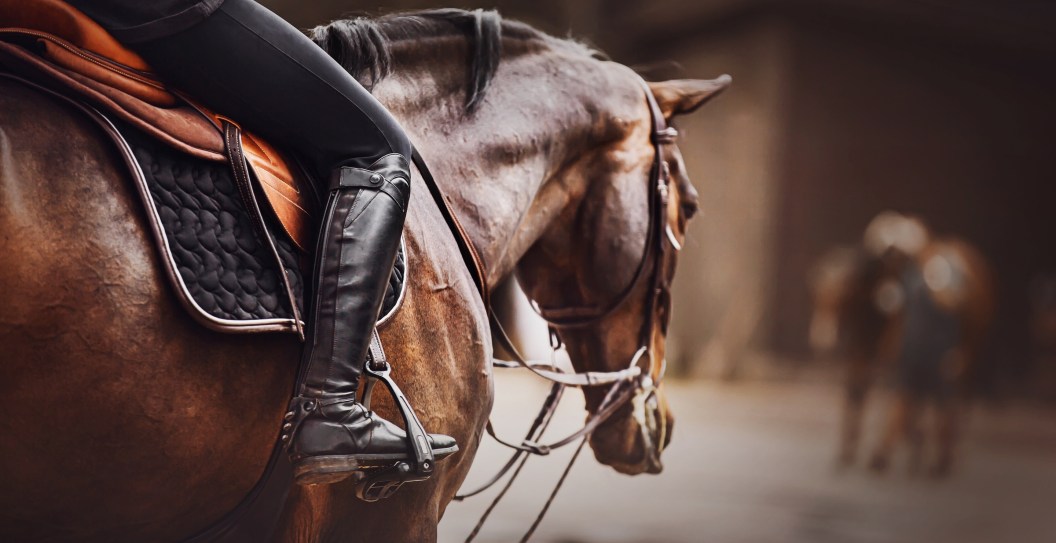 Woman Claims Her Leg Was Crushed After Wrangler Sprayed Horse With Bear Spray