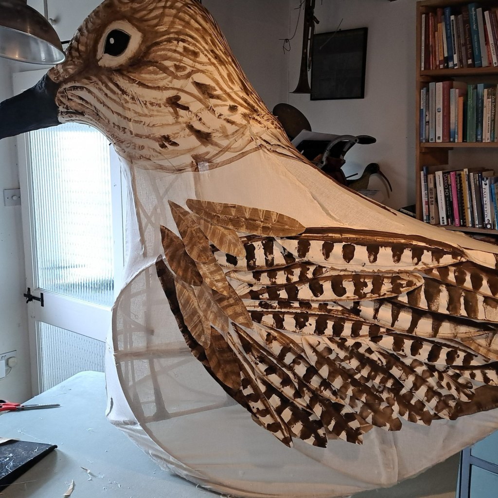 Man Hikes 53 Miles Wearing Bird Costume To Raise Awareness On Endangered Bird Species