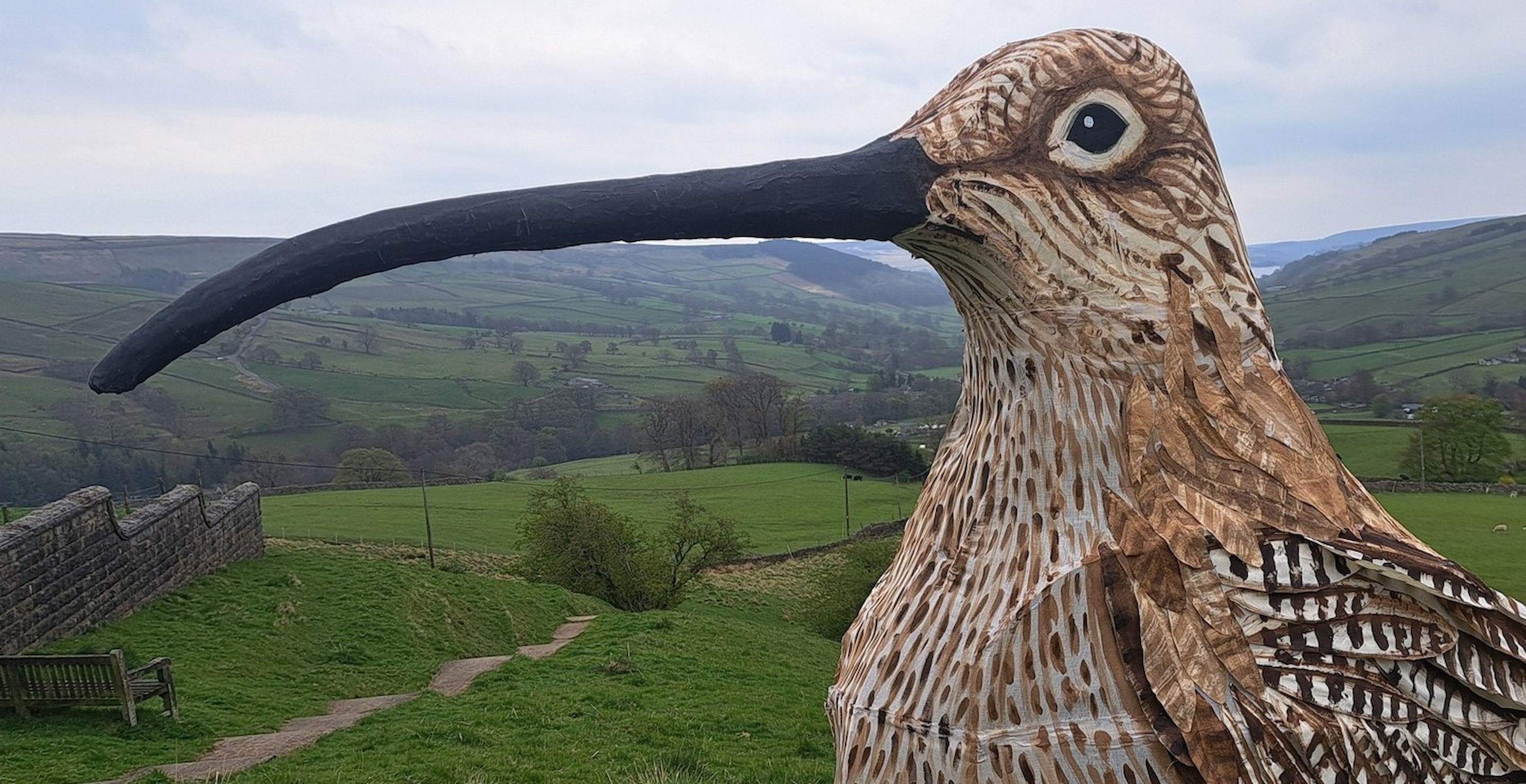 Man Hikes 53 Miles Wearing Bird Costume To Raise Awareness On Endangered Bird Species