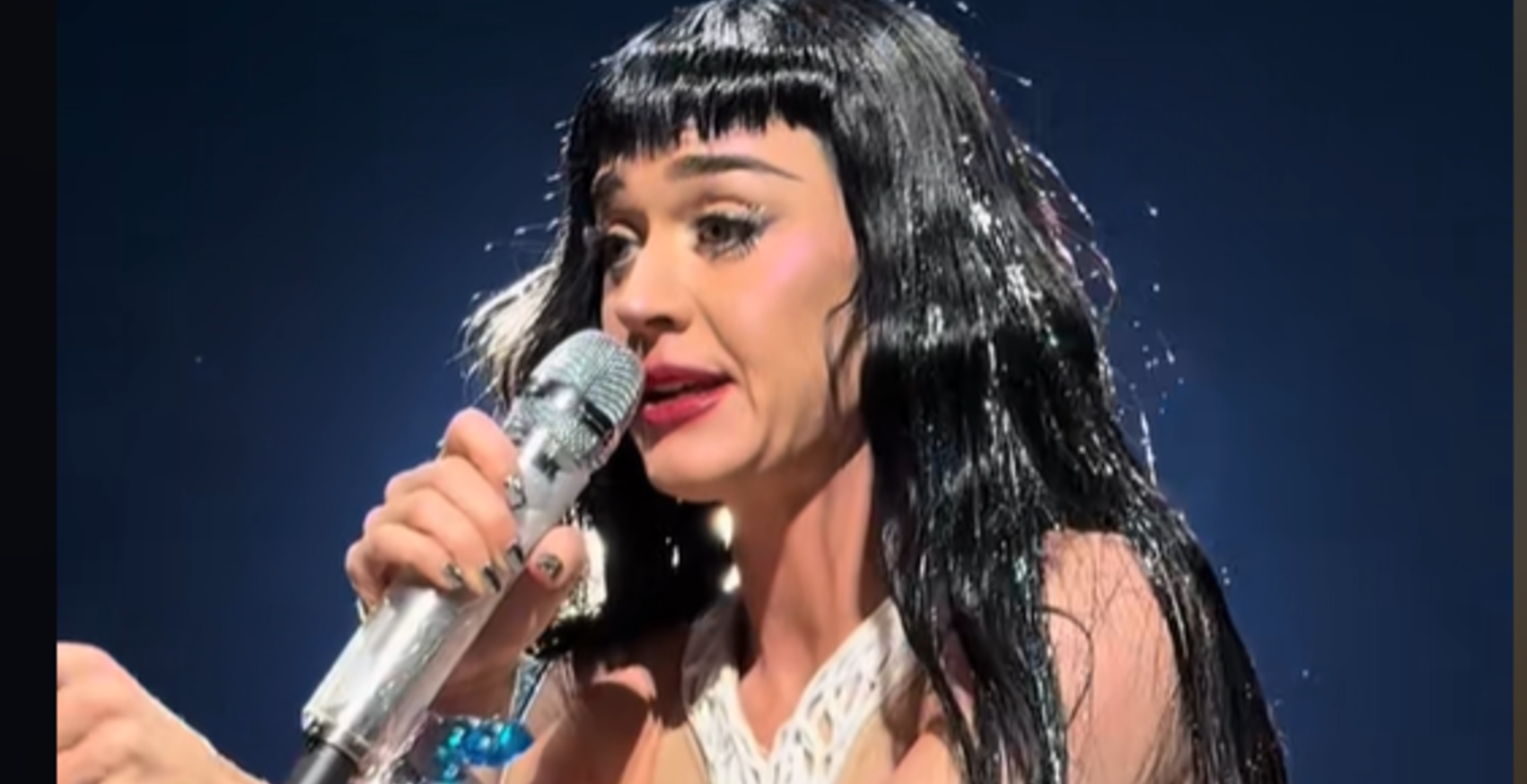Katy Perry Pauses Concert To Yell At Fan About Messaging Her Husband On Social Media