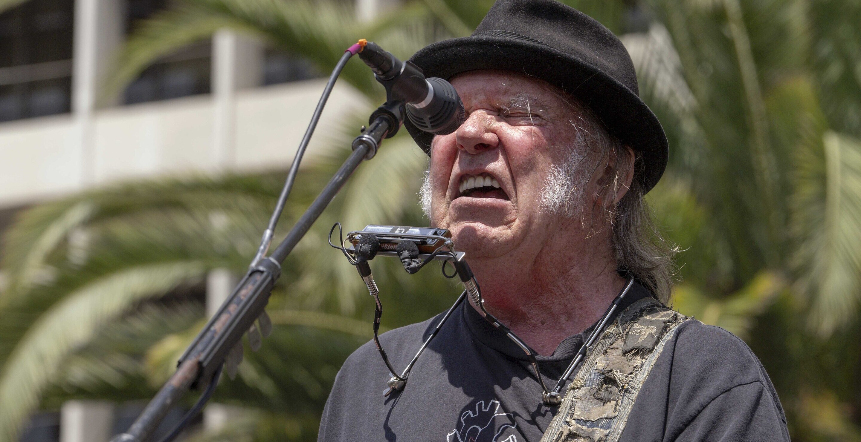 Neil Young Targets Elon Musk In Politically Charged New Song