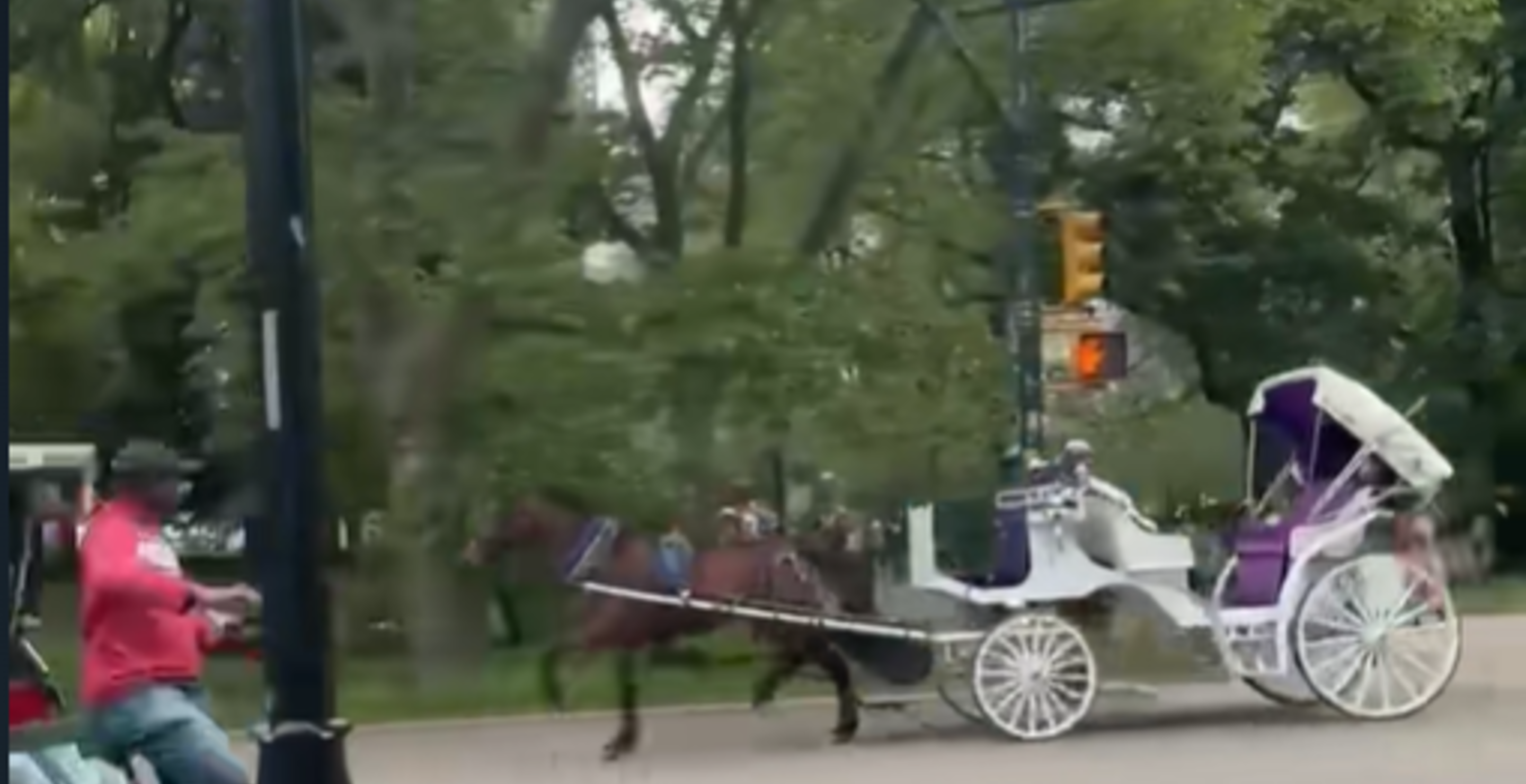 New York Carriage Careens Out Of Control After Horse Takes Off Without Driver