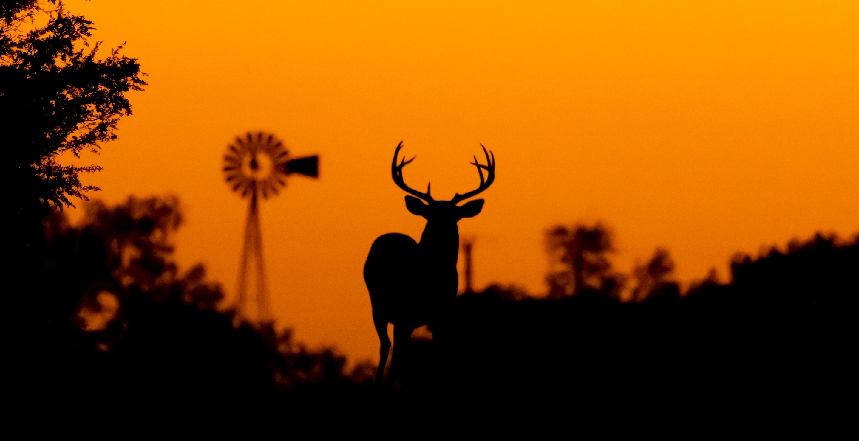 Texas Sunsets Are Like Something Out Of The Movies: See Video