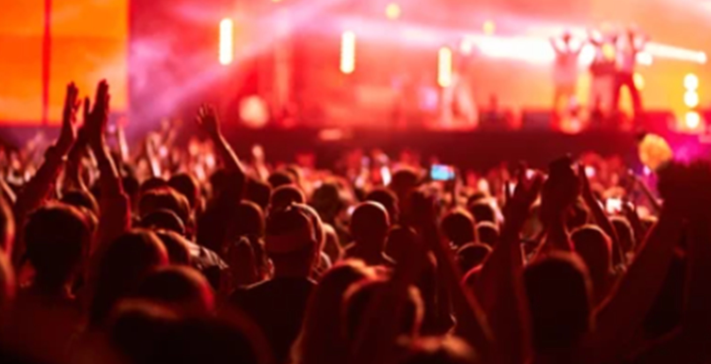 Concert crowd