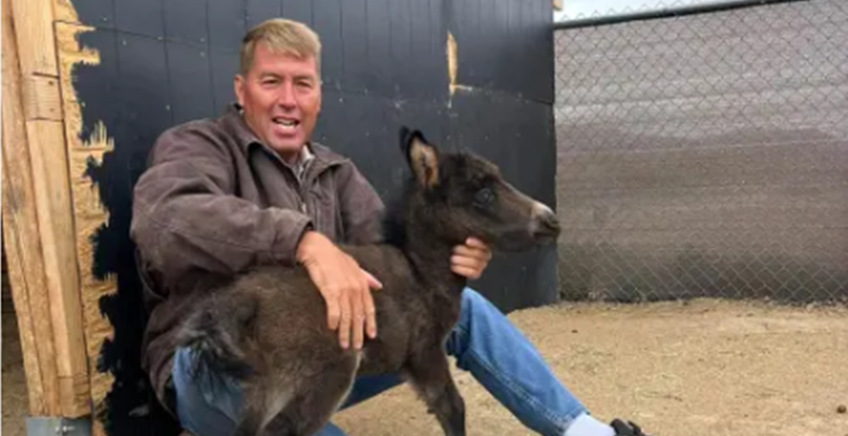 veterinarian, death, Las Vegas