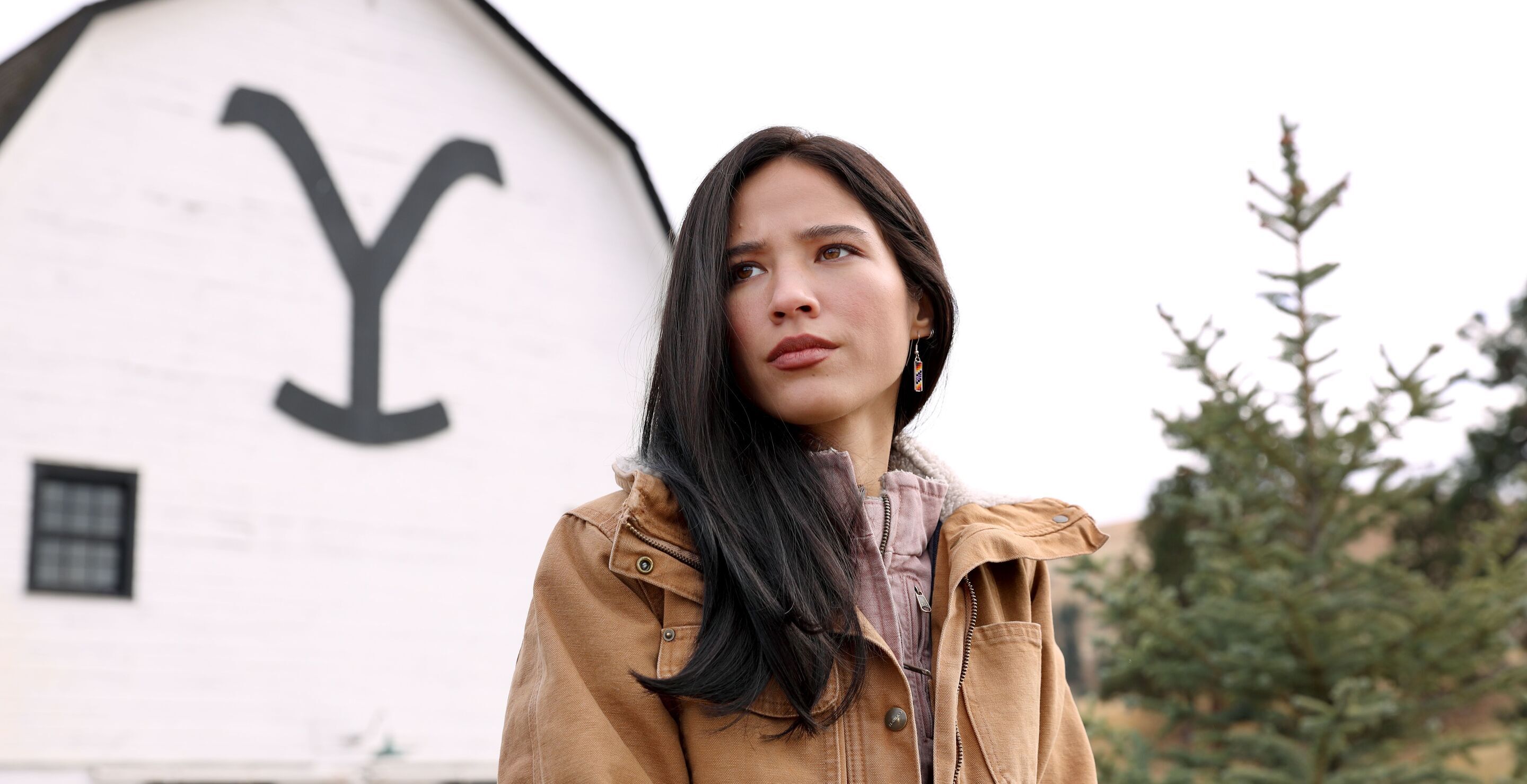The Insane Amount Of Money 'Yellowstone' Fans Spent On DVD Sales