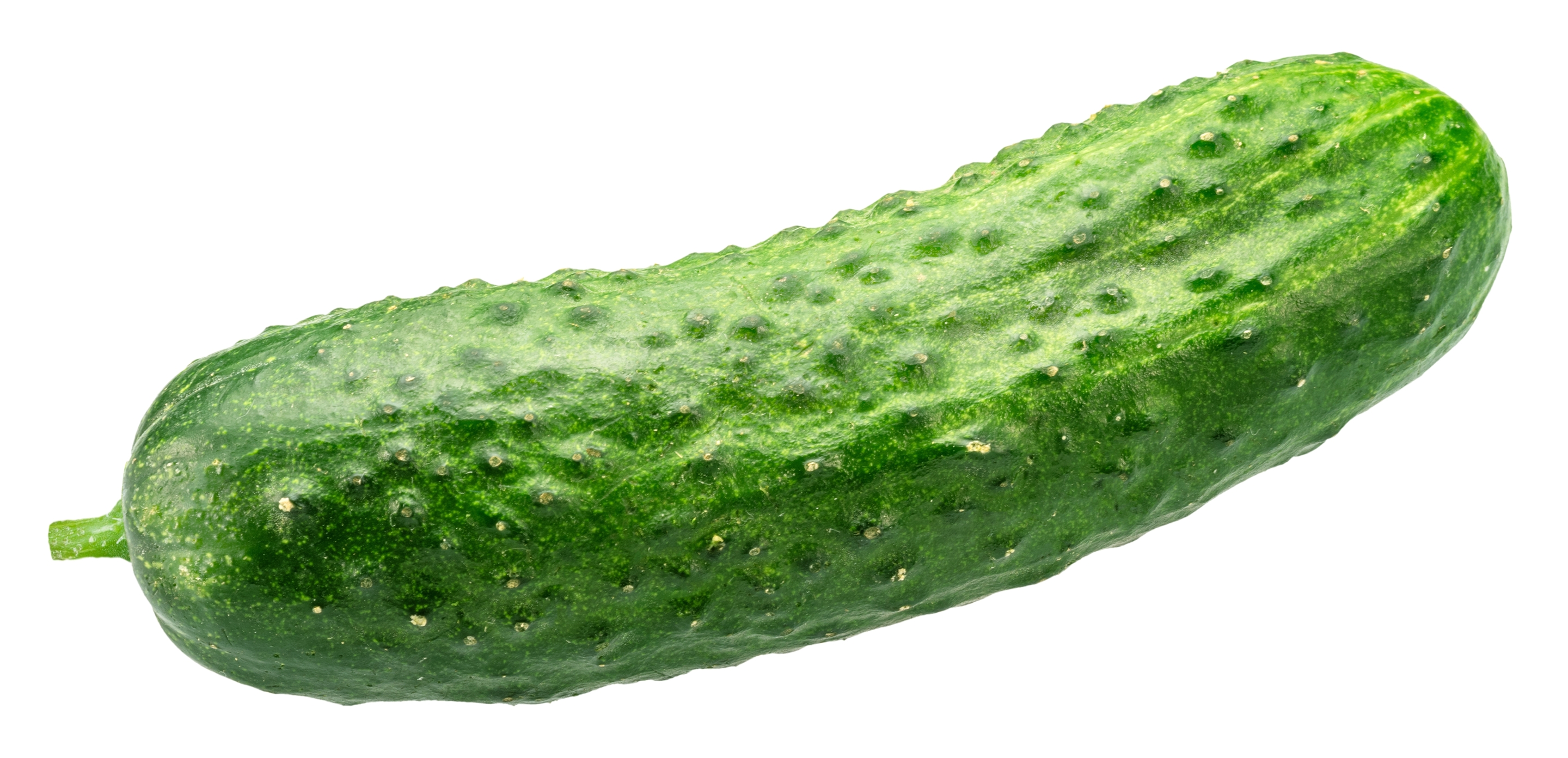 Would You Eat A Sandwich With Pickles For Buns