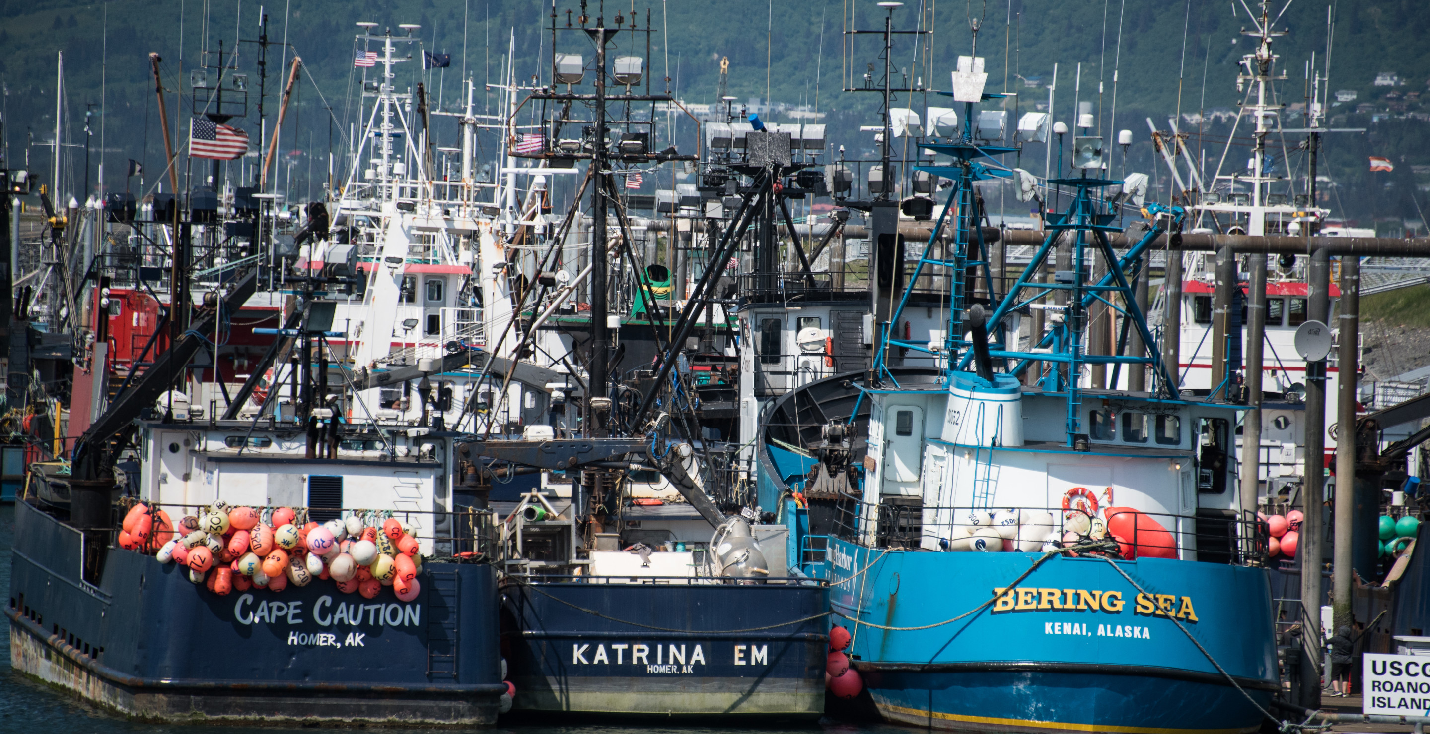 'Deadliest Catch' Star Dies at 25: RIP Todd Meadows