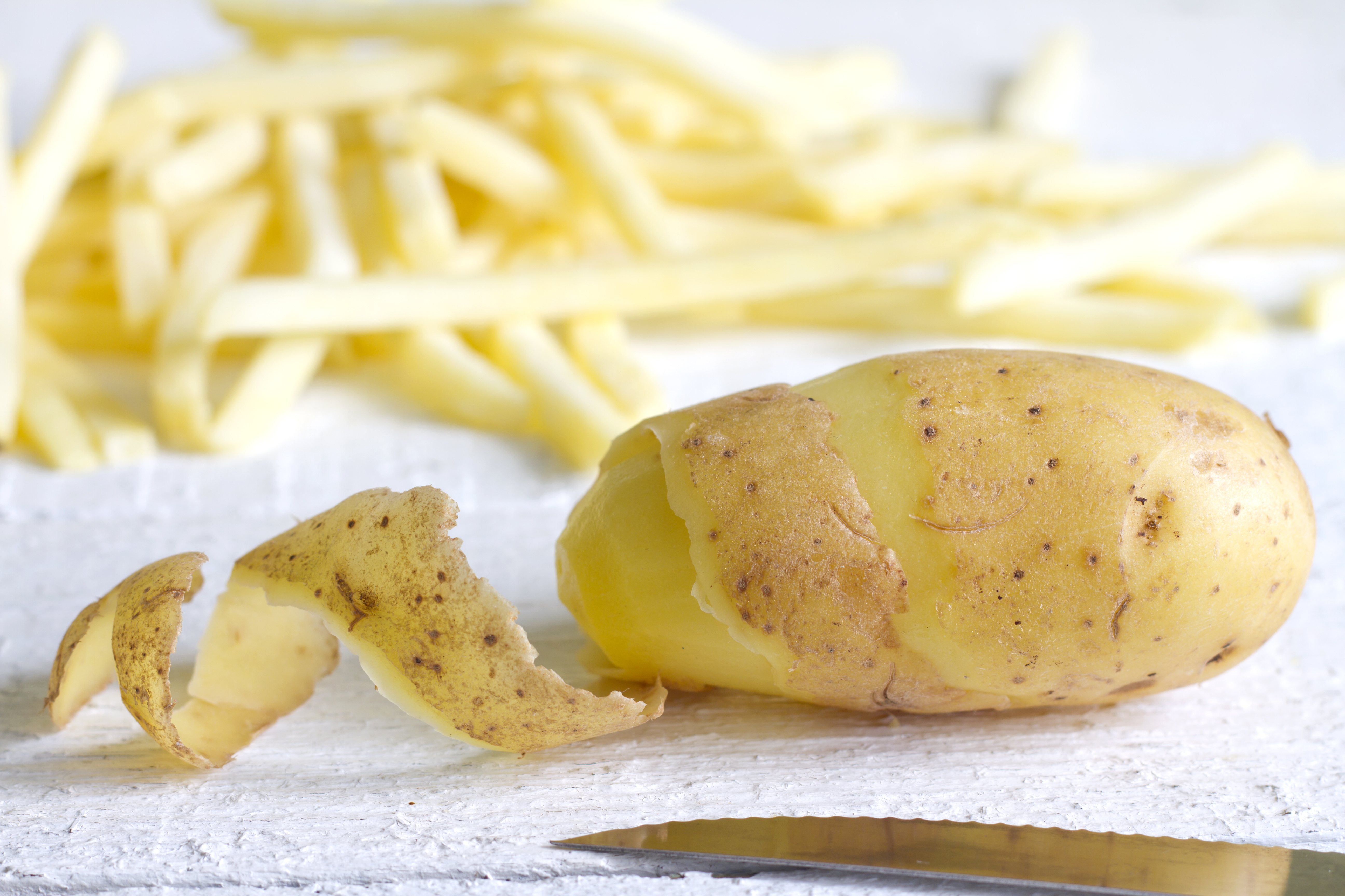 best homemade french fries