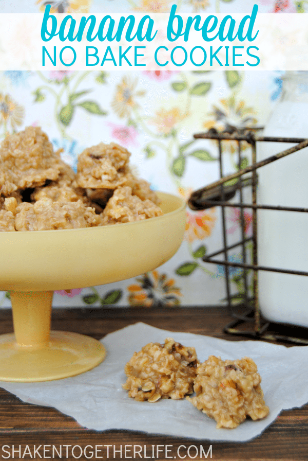 No-Bake-Cookies-Recipes