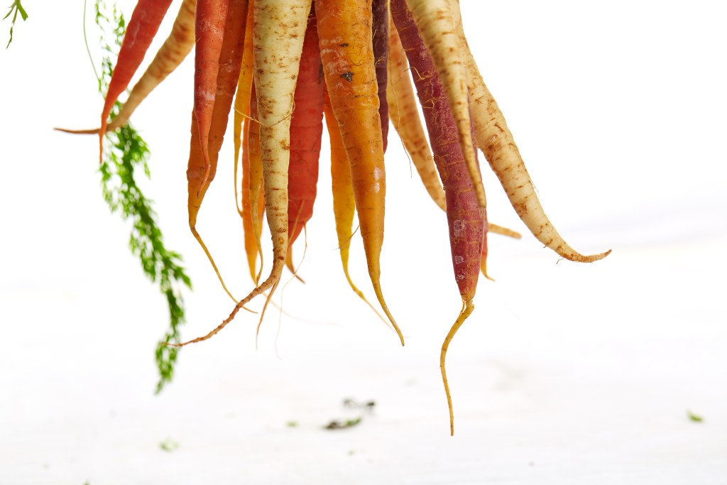 carrot mix in