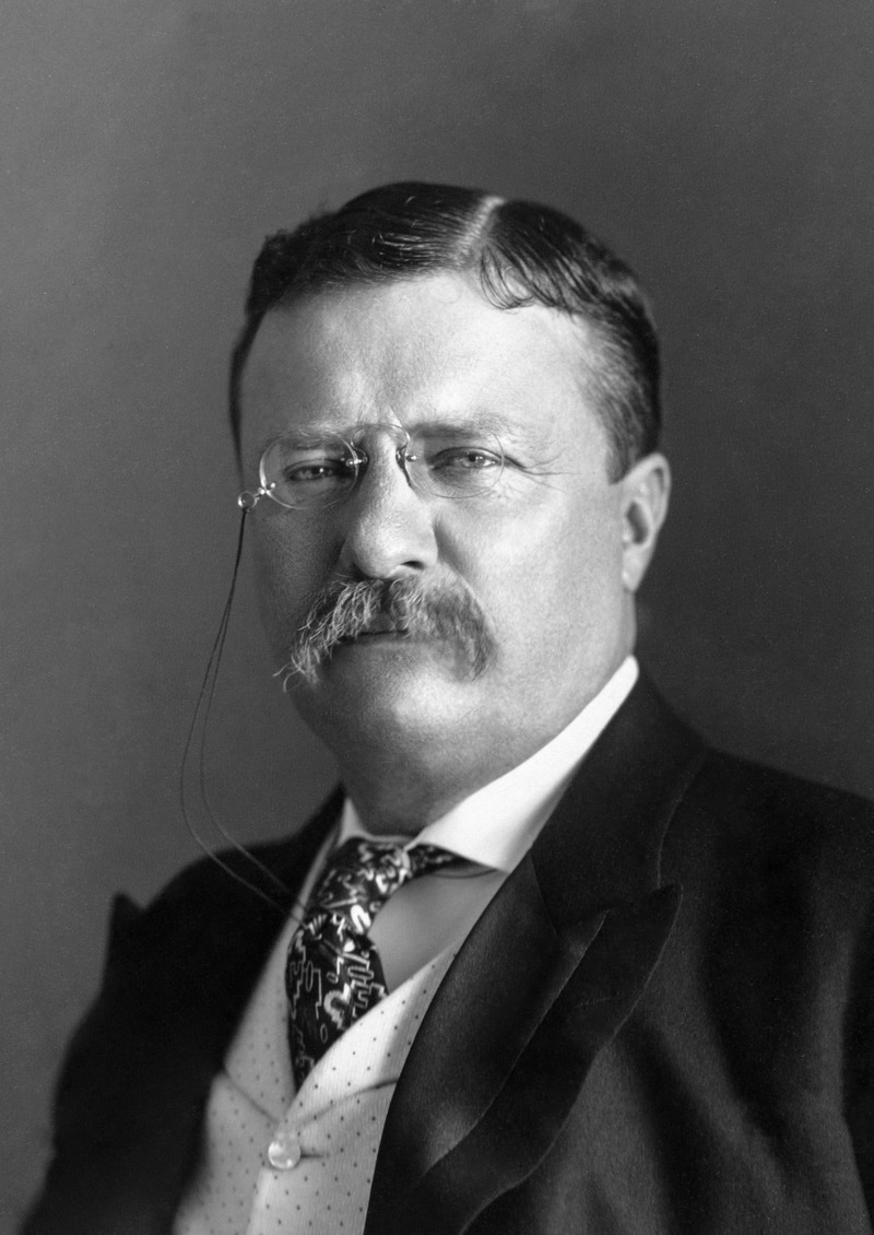 president_roosevelt_-_pach_bros-tif