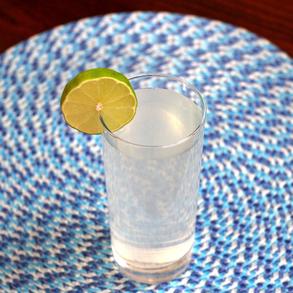 gin fizz