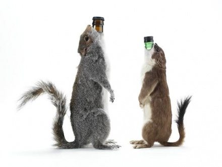 road kill beer