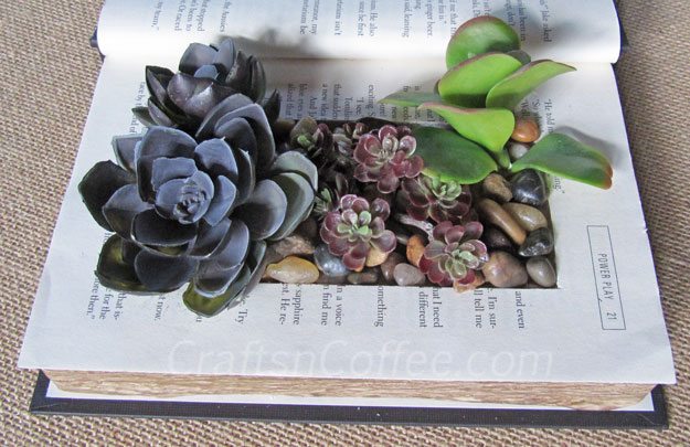 planters-DIY