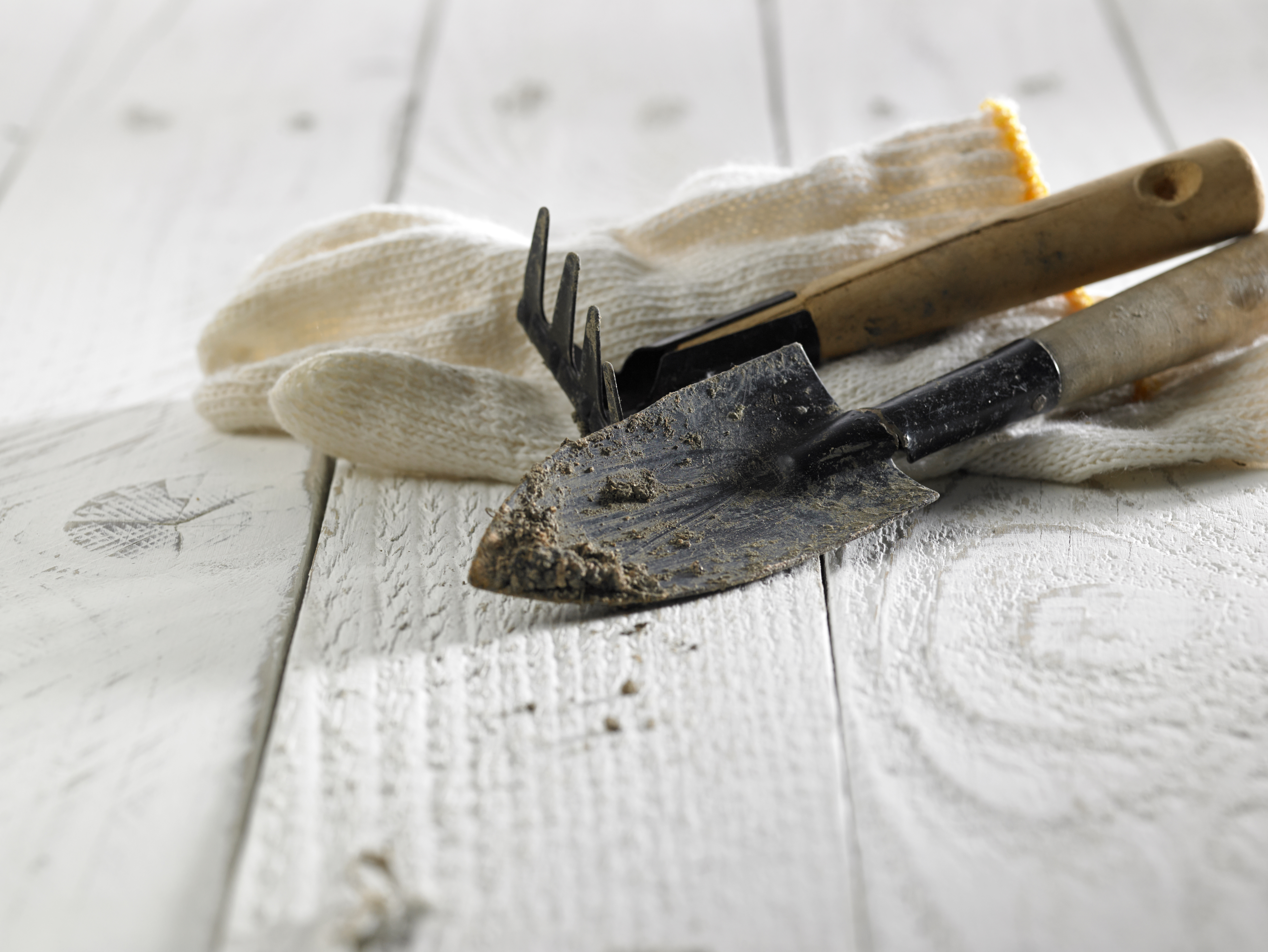 dishwasher-gardening-hacks