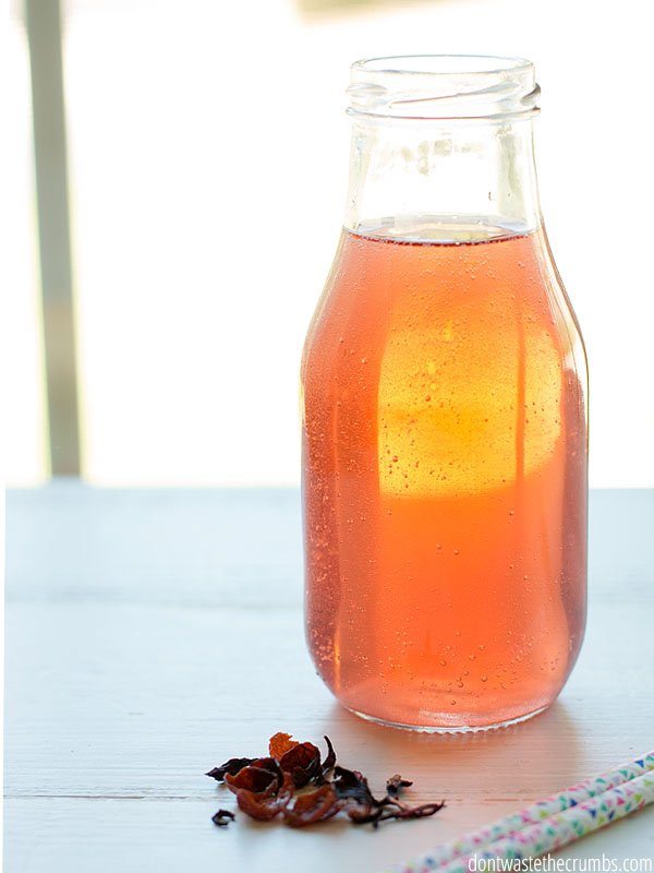homemade-kombucha-recipes