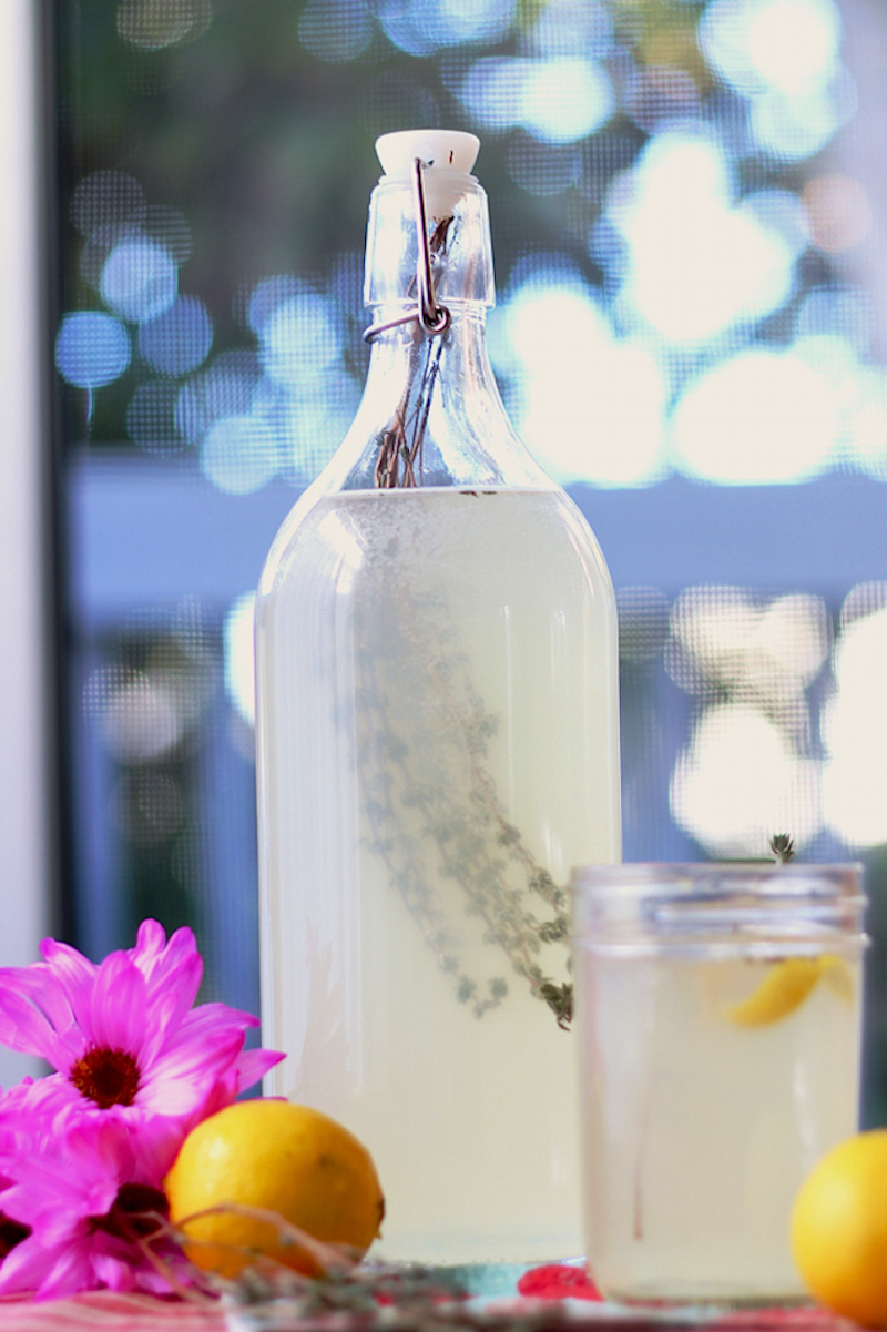 kombucha-recipes