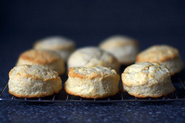 homemade-biscuits-recipe-cream-biscuits