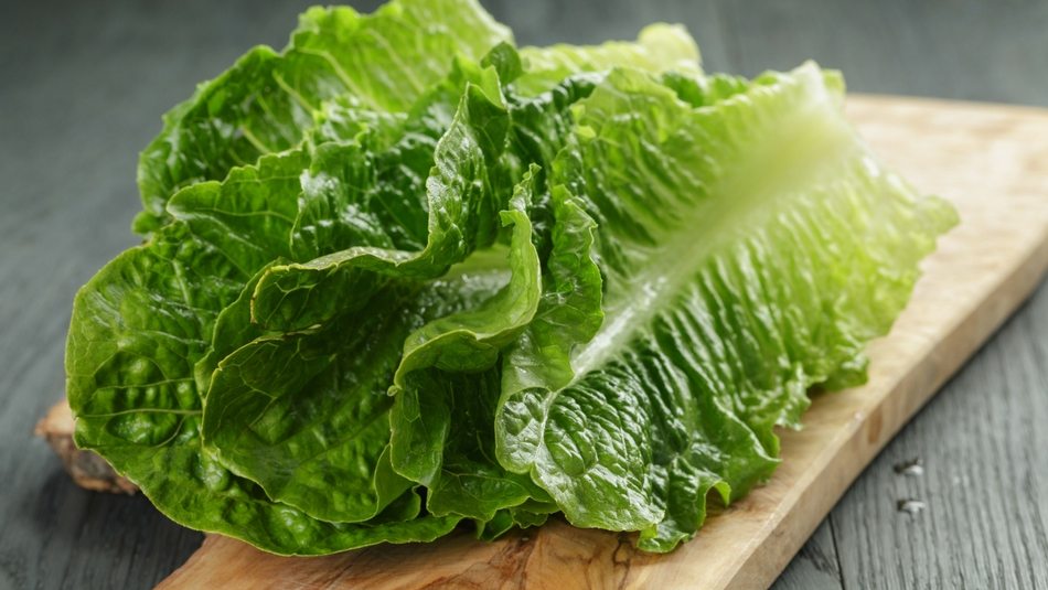 e coli lettuce