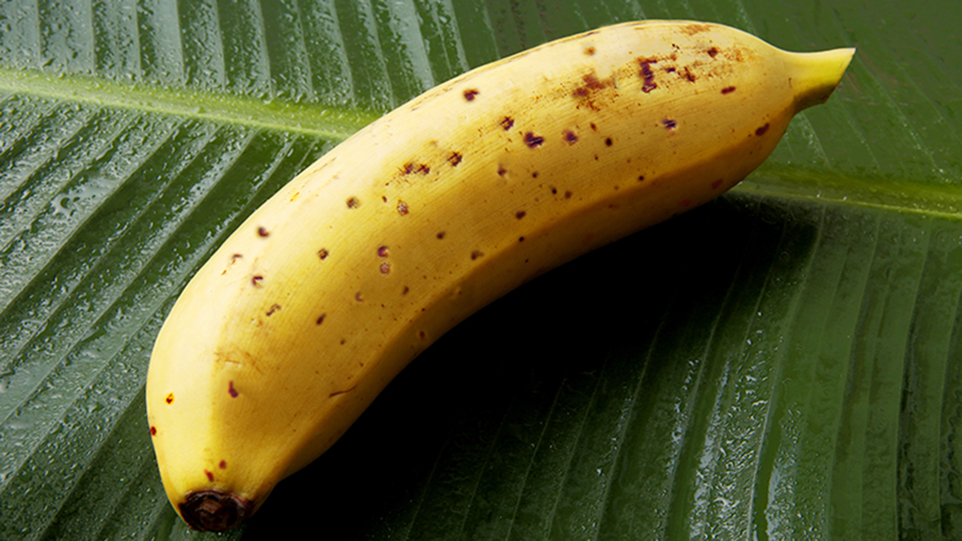 mongee-banana-edible-peel