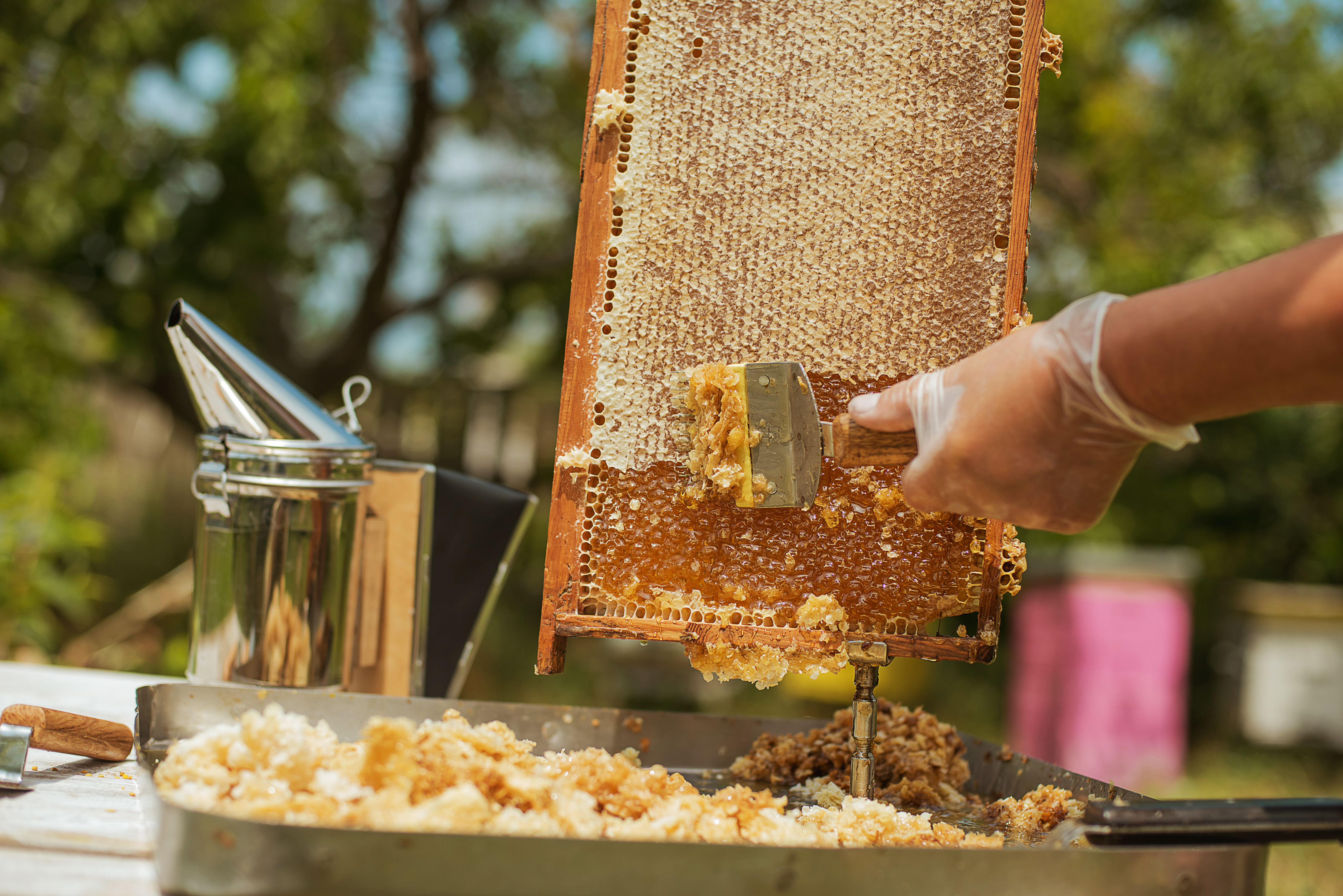 fake-honey-laundering
