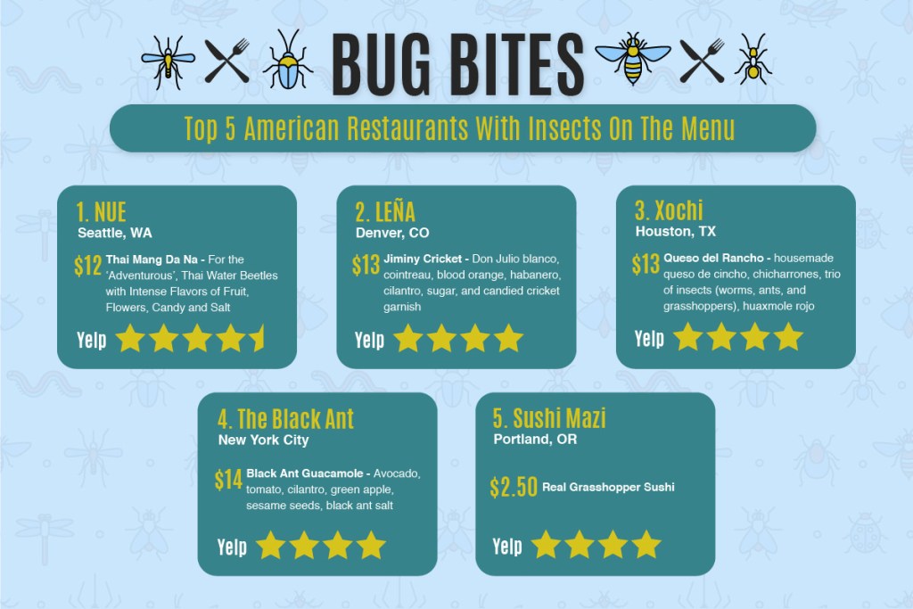 edible bugs