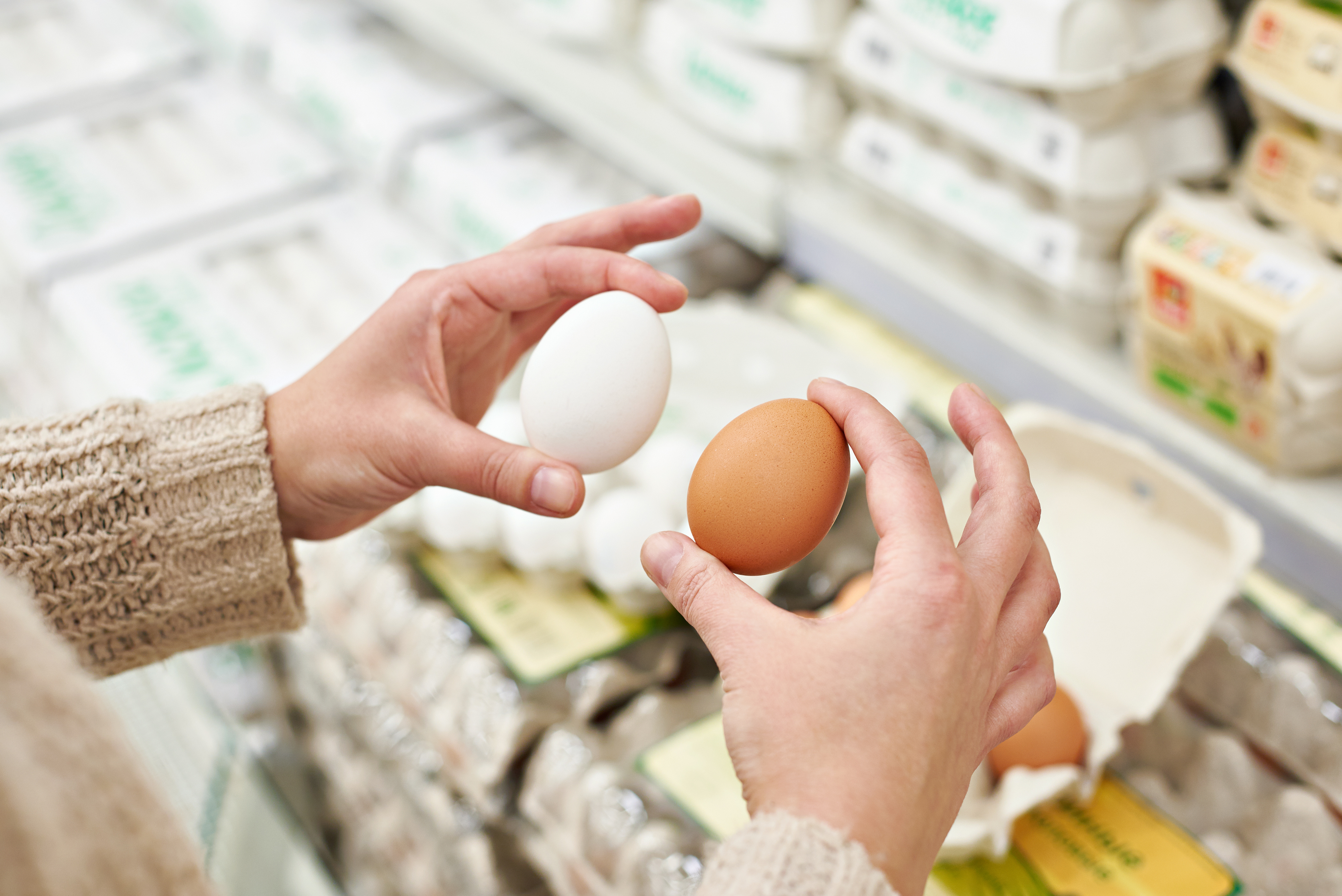 egg carton numbers