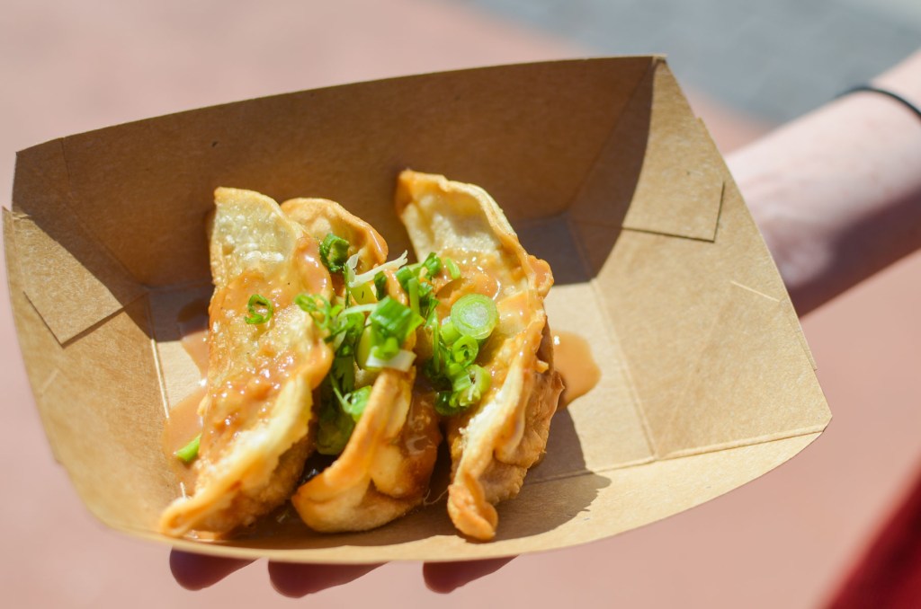 Chicken Dumplings Epcot