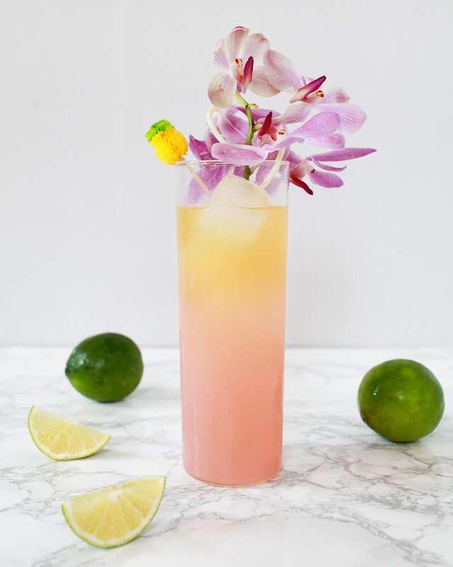 tiki-cocktail-recipes