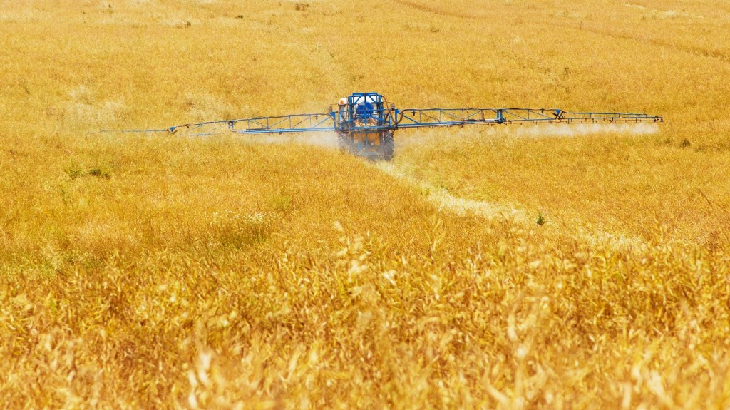 bees and pesticides