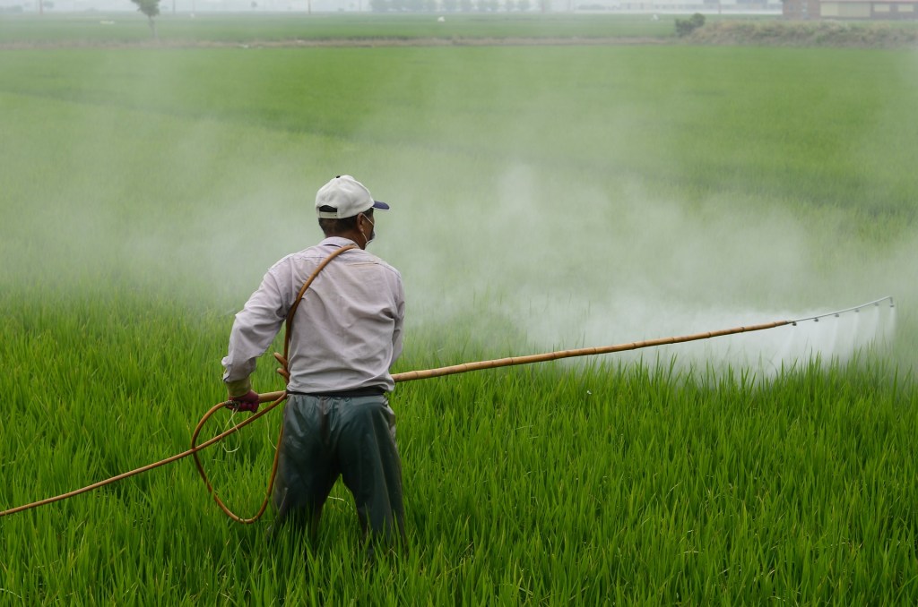 bees and pesticides