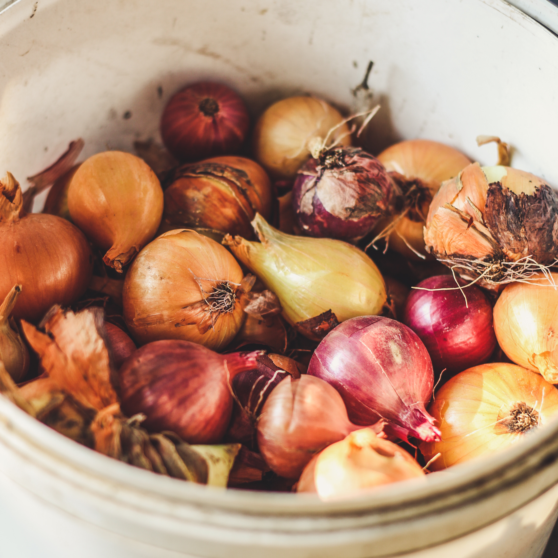 why-do-onions-make-you-cry