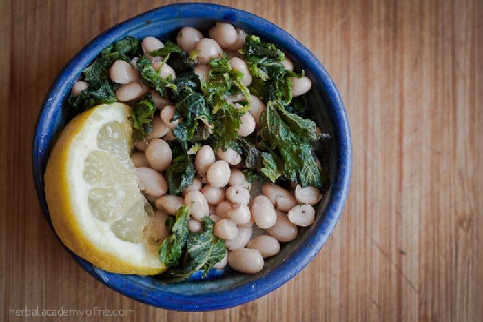 stinging-nettles-recipes