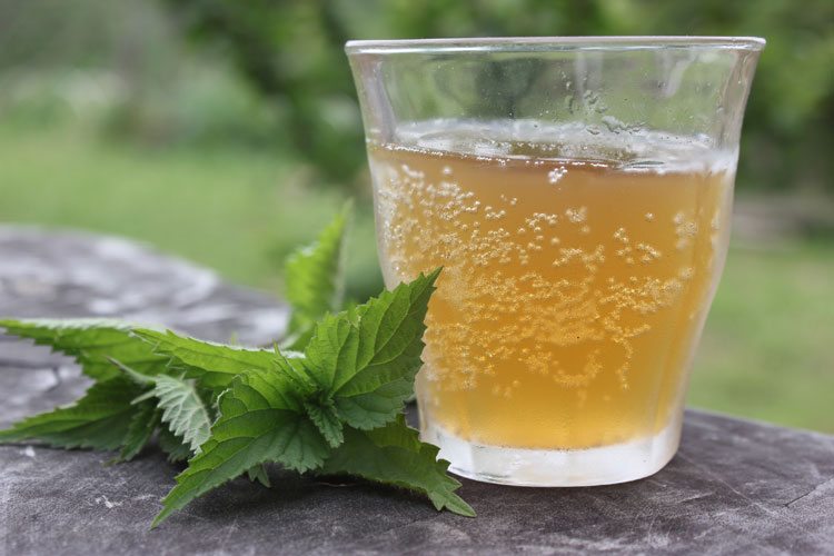 stinging-nettles-recipes