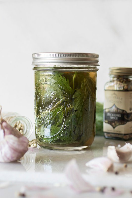 stinging-nettles-recipes