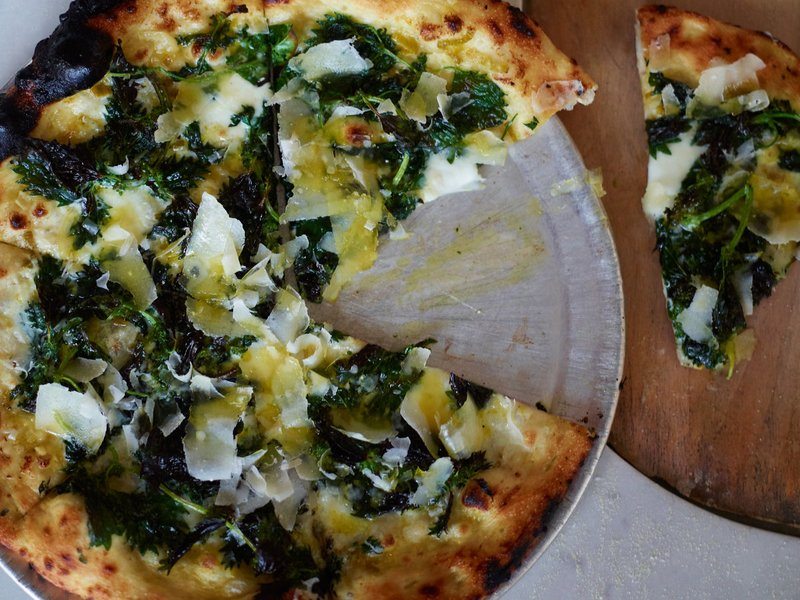 stinging-nettles-recipes